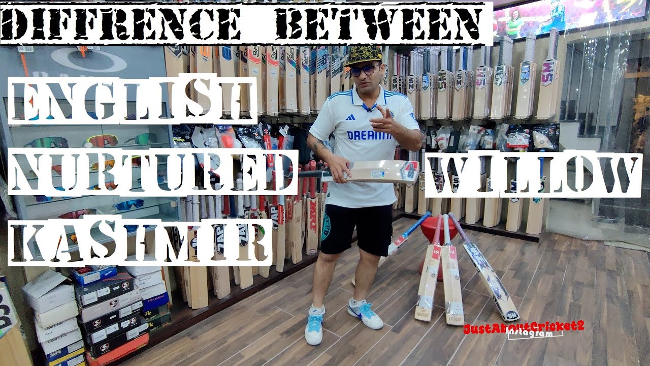 English Willow vs Nurtured Willow vs Kashmir Willow cricket bats #cricket #review #vlog