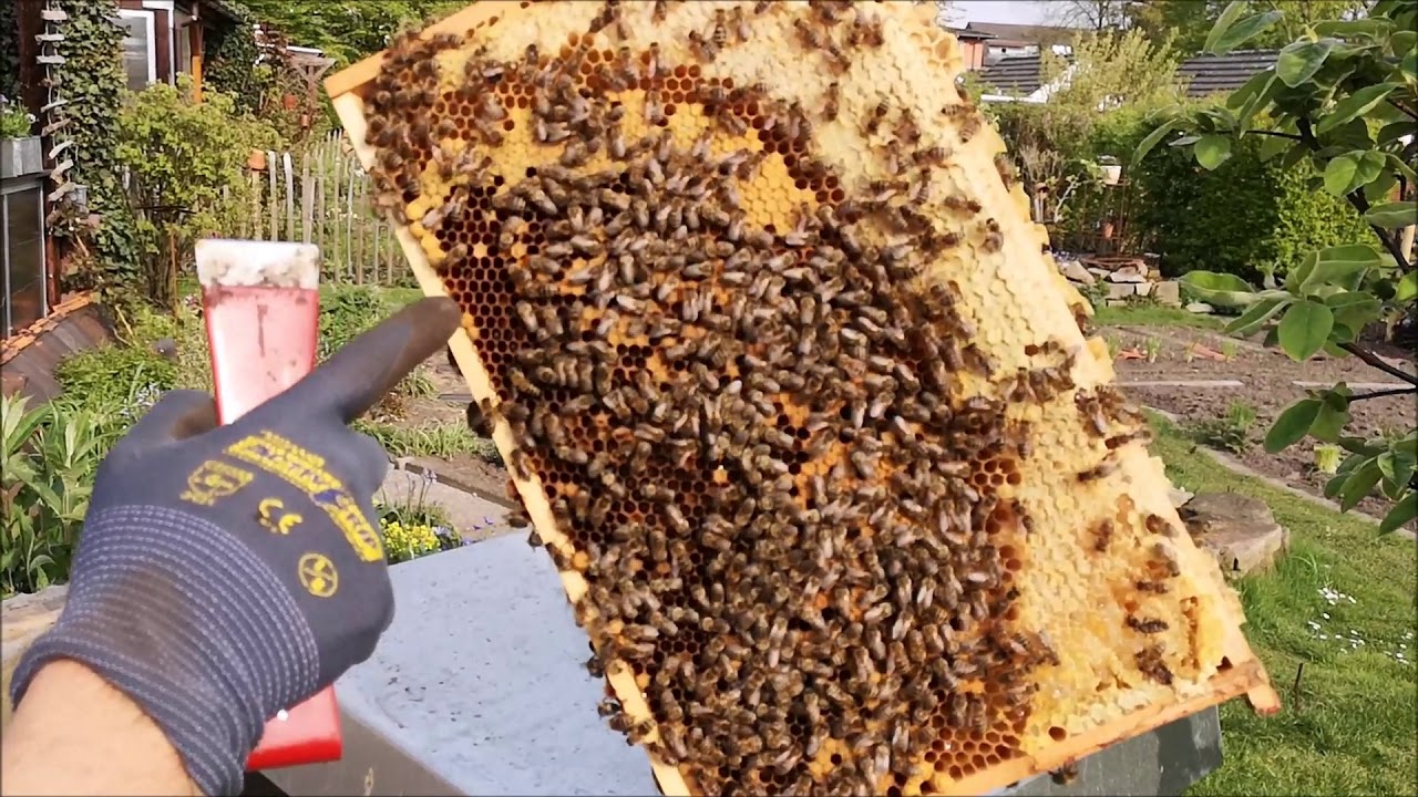 Erster Ableger 2019   ganz einfach gemacht