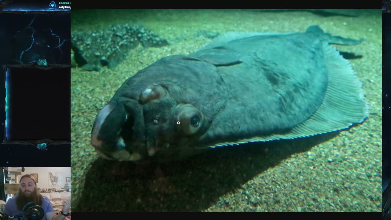 Fish Friday #204 - Atlantic Halibut