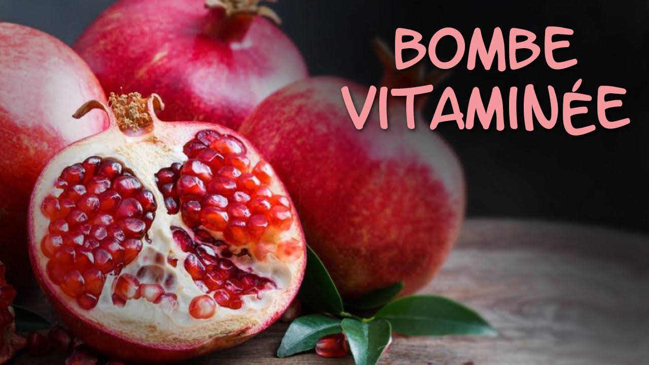 Biscuit pour perroquets #4 - La bombe vitaminée