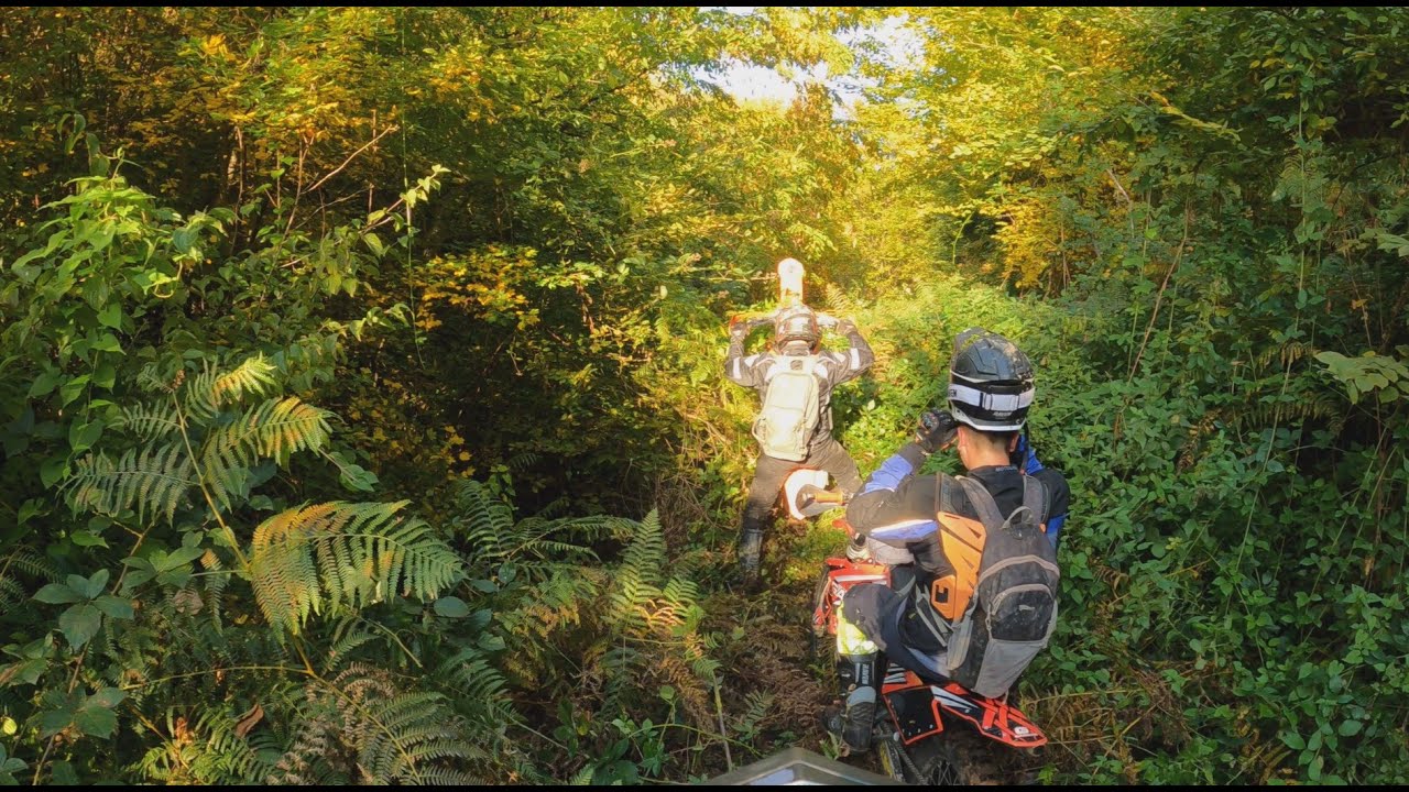 Jungle Enduro
