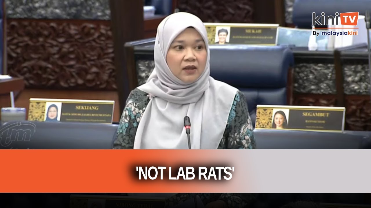 Year One entry for six-year-olds is not a ‘lab rat’ experiment, says minister