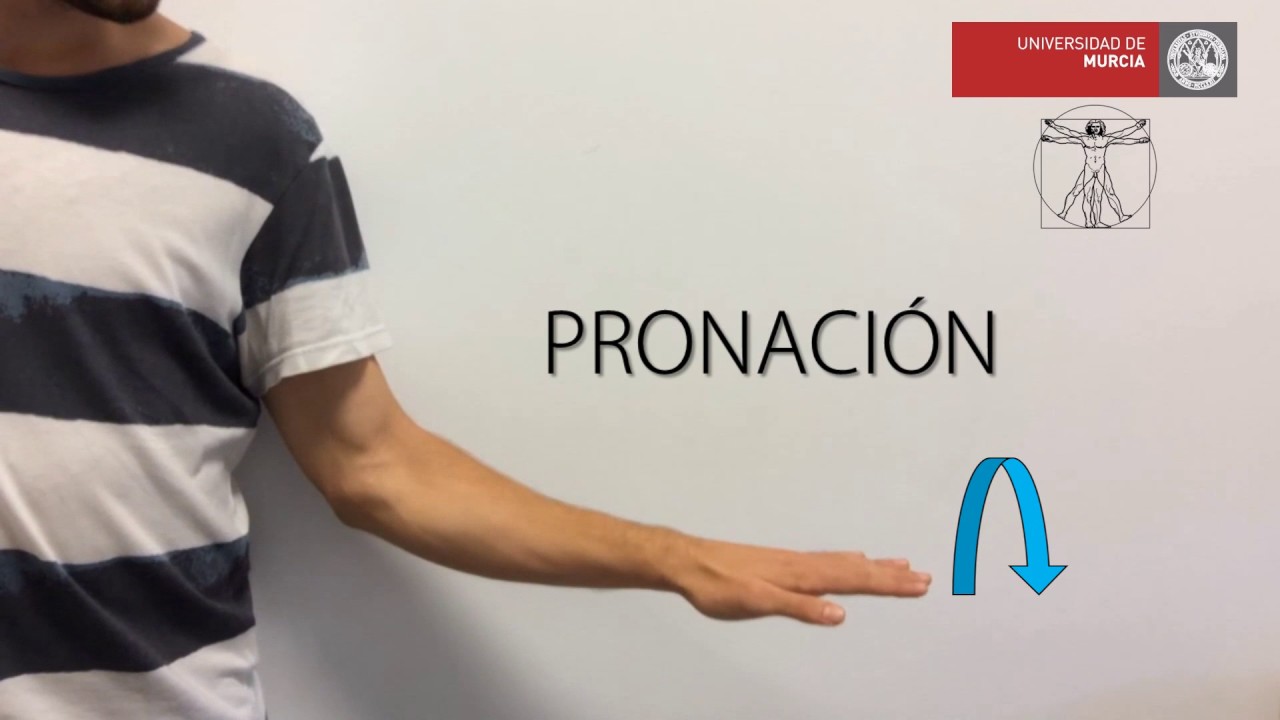 Pronaci&oacute;n Supinaci&oacute;n mano 2
