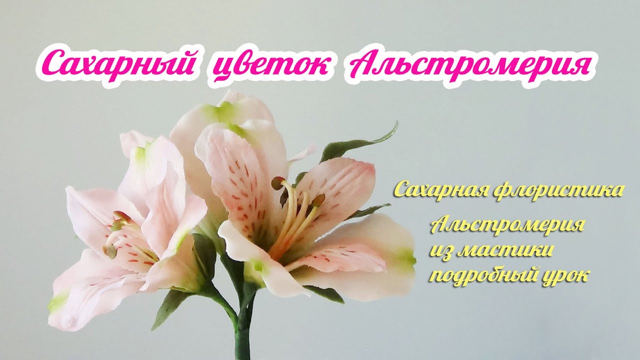 Цветок Альстромерия из сахарной рисовой мастики/ Как сделать