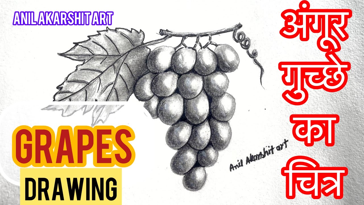 अंगूर का गुच्छा बनाना  सीखें आसान  तरीक़े  सें । how to dra w grapes drawing । very easy grapes draw