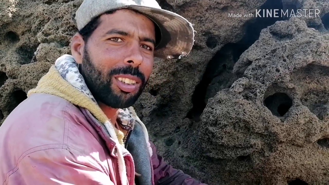 احسن مصيد في مدينة سلا رفقة الأصدقاء 03/2020