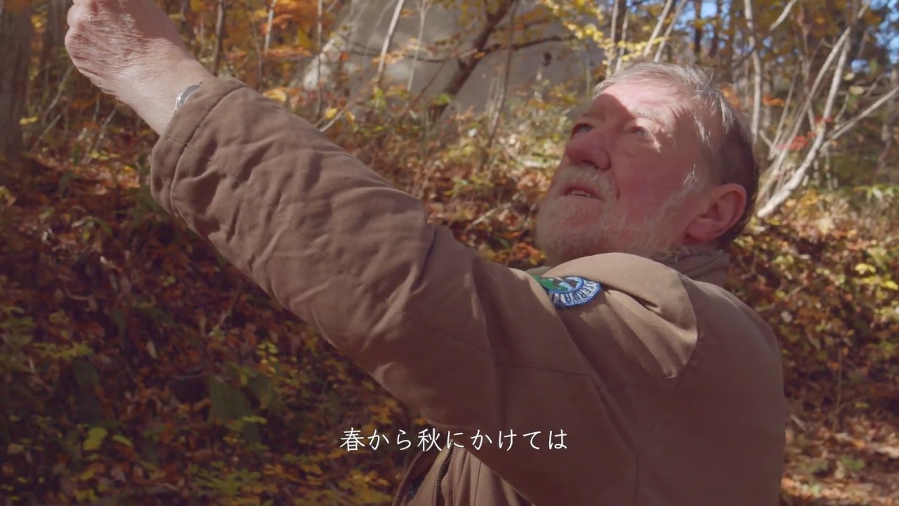 A Woodland Prayer: Let me be a tree - C.W. Nicol「森の祈り - C.W. ニコル」