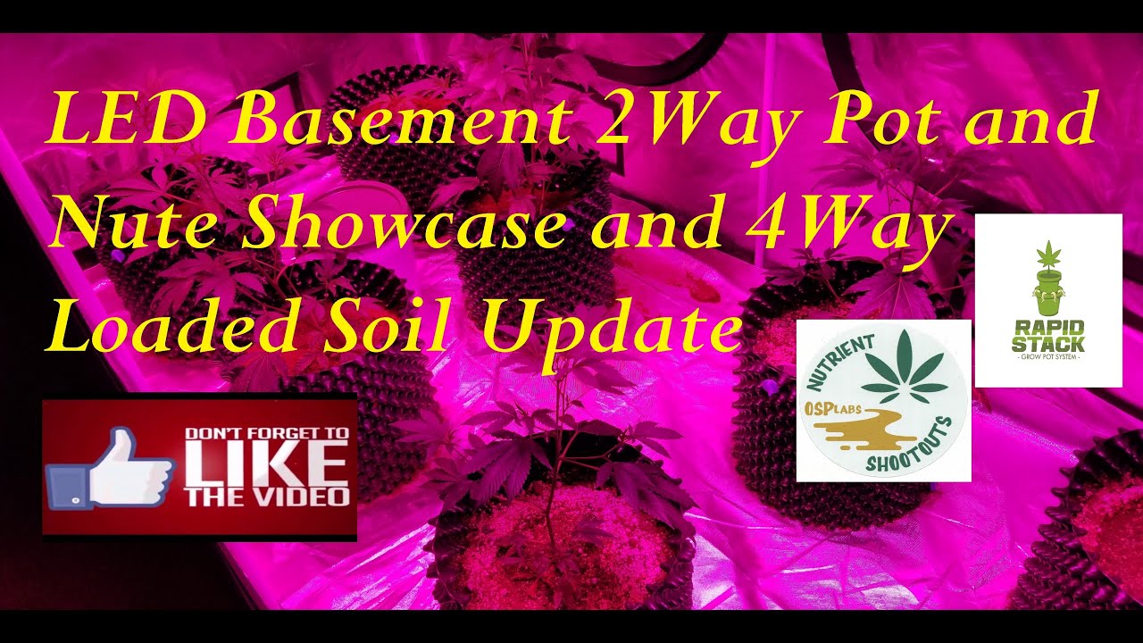 LED Basement 2Way Pot and Nute Showcase and 4Way Loaded Soil Update