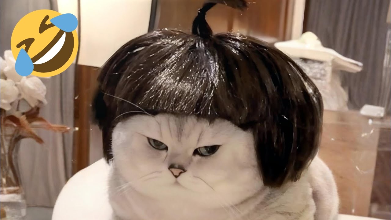 Funniest Cats and Dogs Clips 2026😼🐶Try Not To Laugh😜The Funniest Moments Ever 🐶🍗🤣 part 7