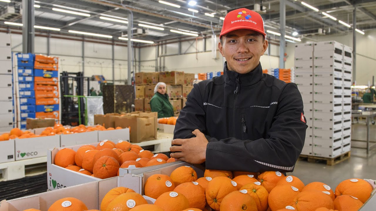 Zo stimuleert Eosta innovaties en ontwikkelingen vanuit de werkvloer
