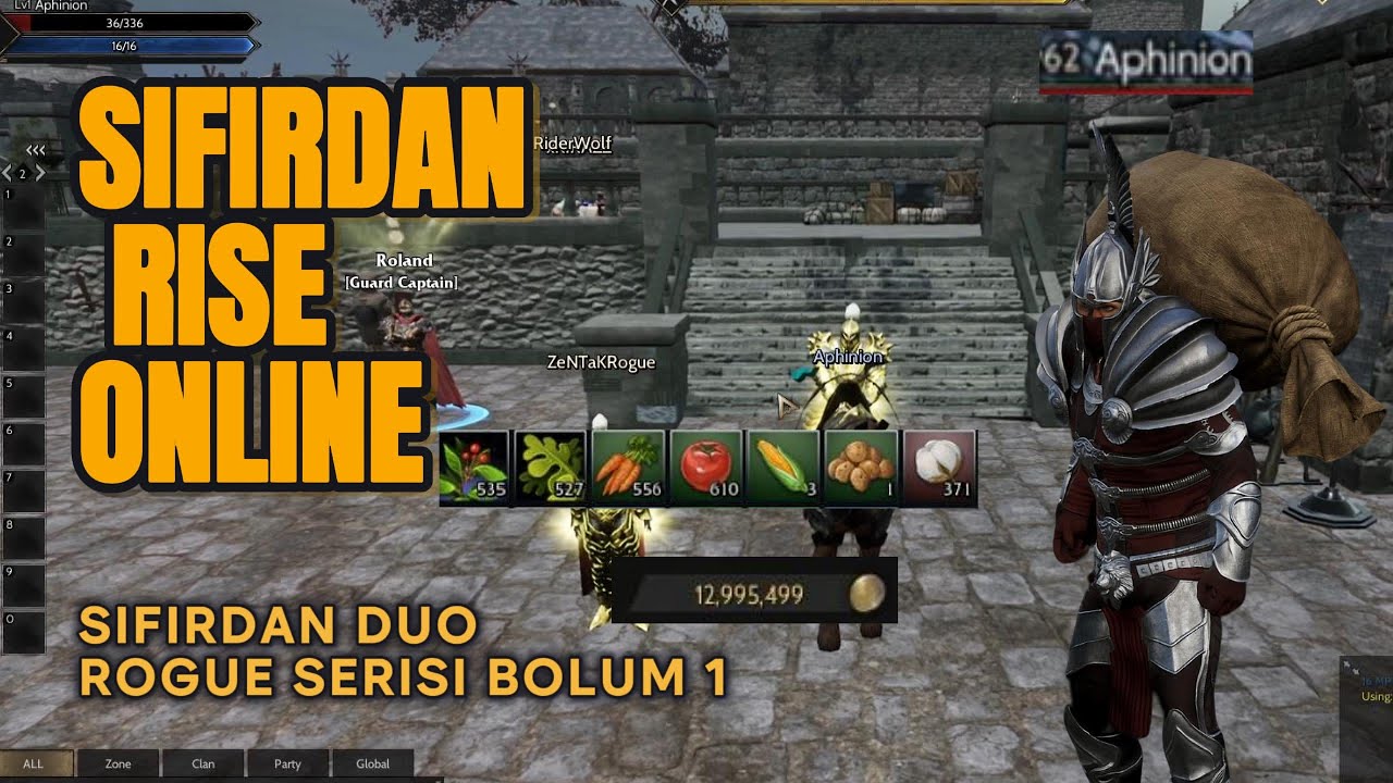 Sıfırdan Rogue Serisi Bölüm 1 / Rise Online