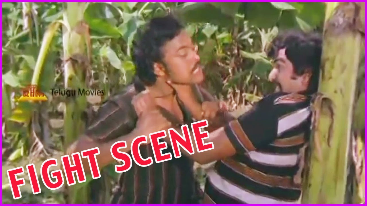 Chiranjeevi Extraordinary Fight Scene In Punnami Naagu Telugu movie
