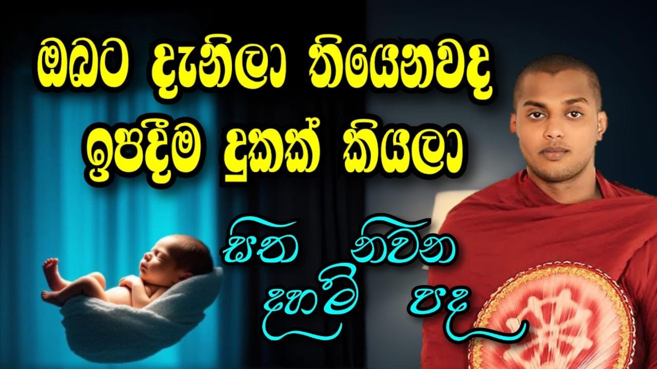 ජීවිතය යථා ස්වභාවය අවබෝධ වෙන ධර්ම දේශනාවක් පූජ්‍ය කත්නෝරුවේ සිරිධම්ම හිමි Kathnoruwe Siridhamm thero