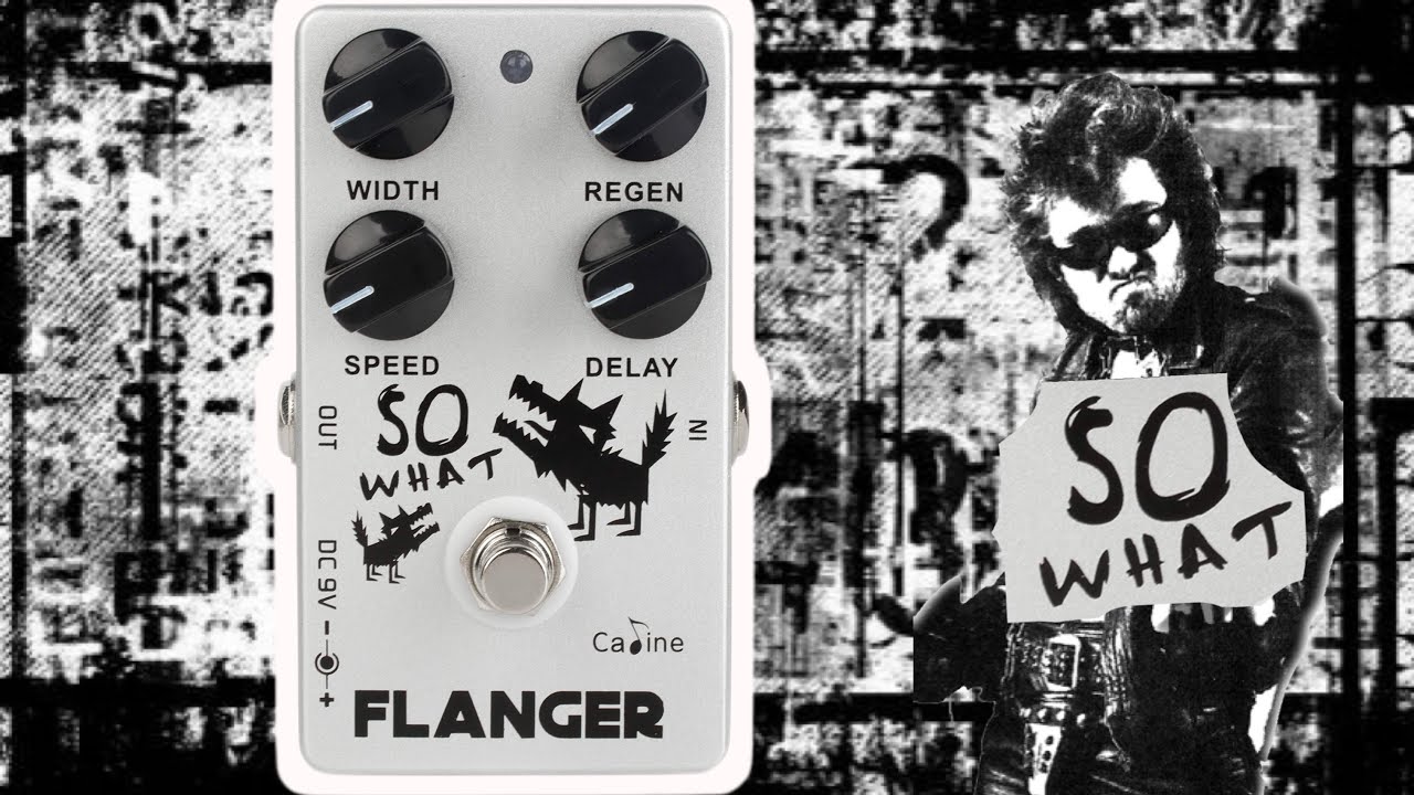 Caline So What Flanger Demo/Review