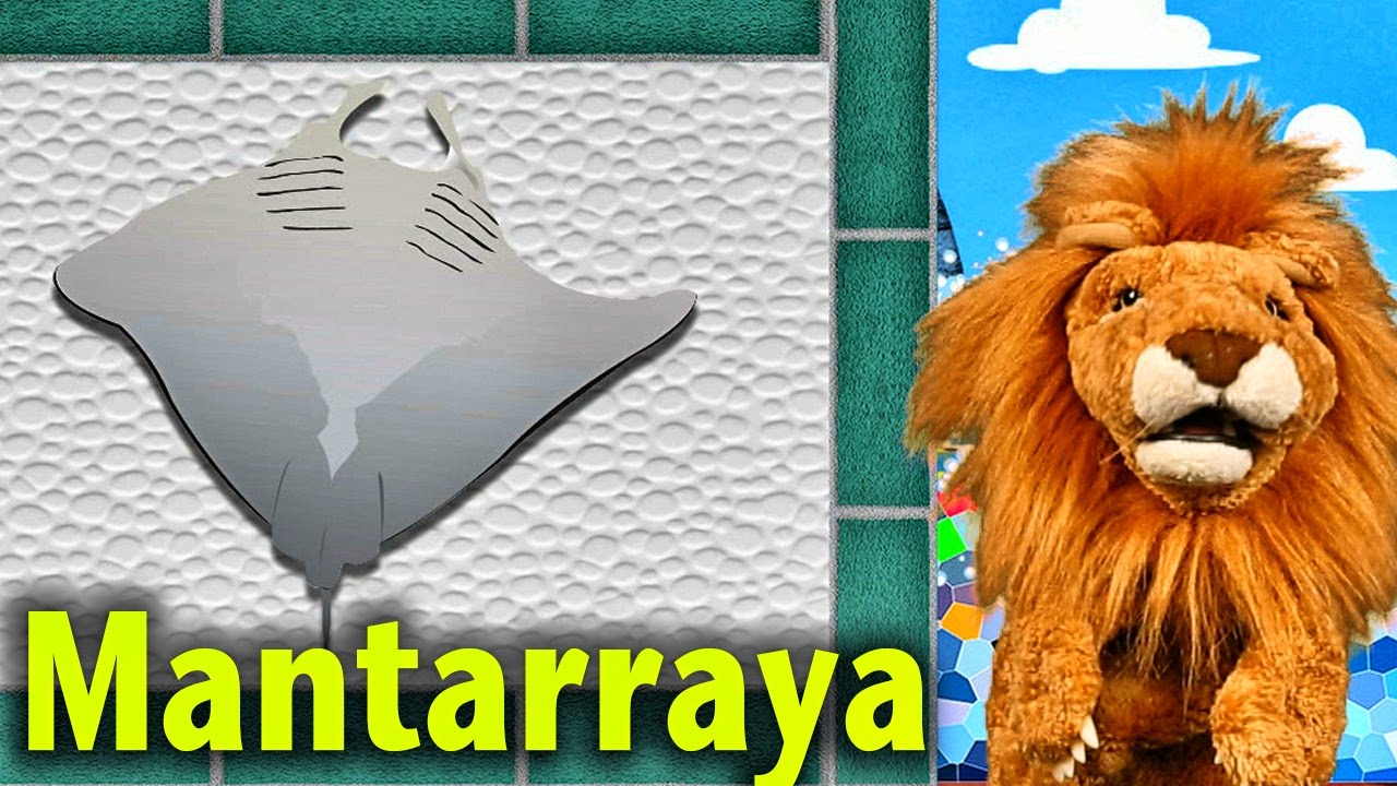 Los niños Conocen a la Mantarraya - Animales Acuáticos - Lorenzoo El León - Videos Infantiles