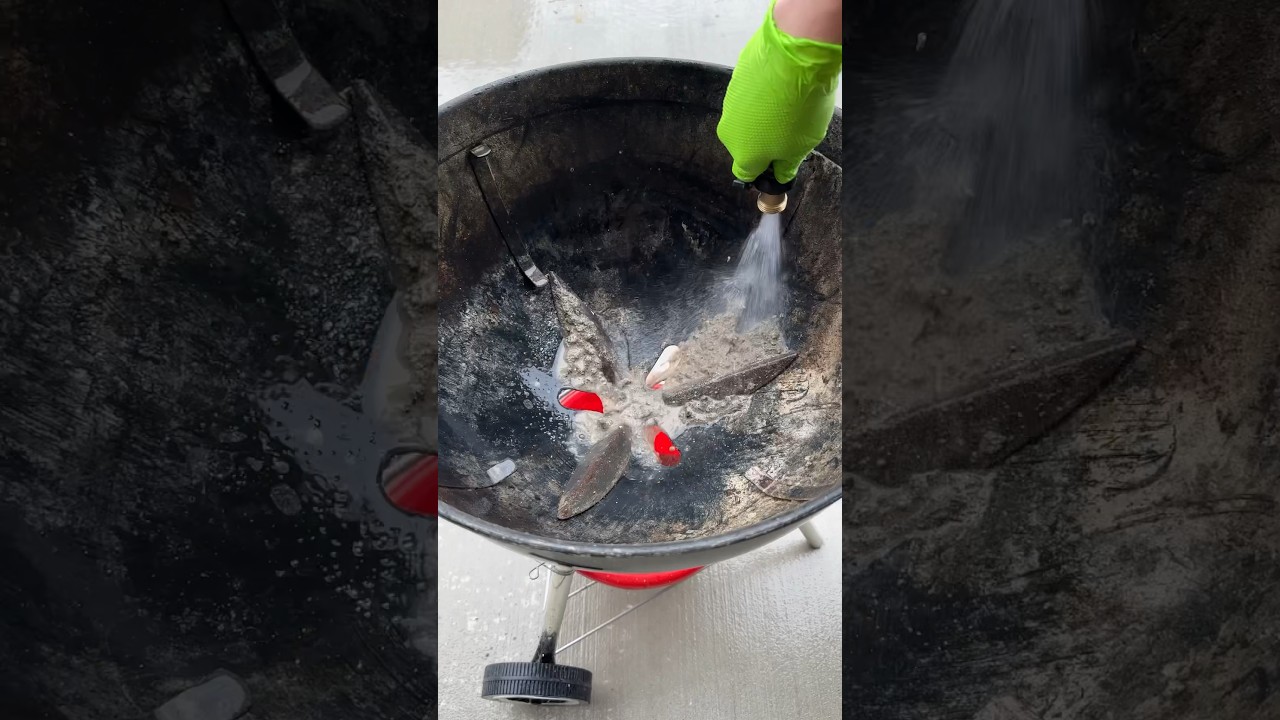 Satisfying Webber Grill Deep Clean #satisfying #cleaning
