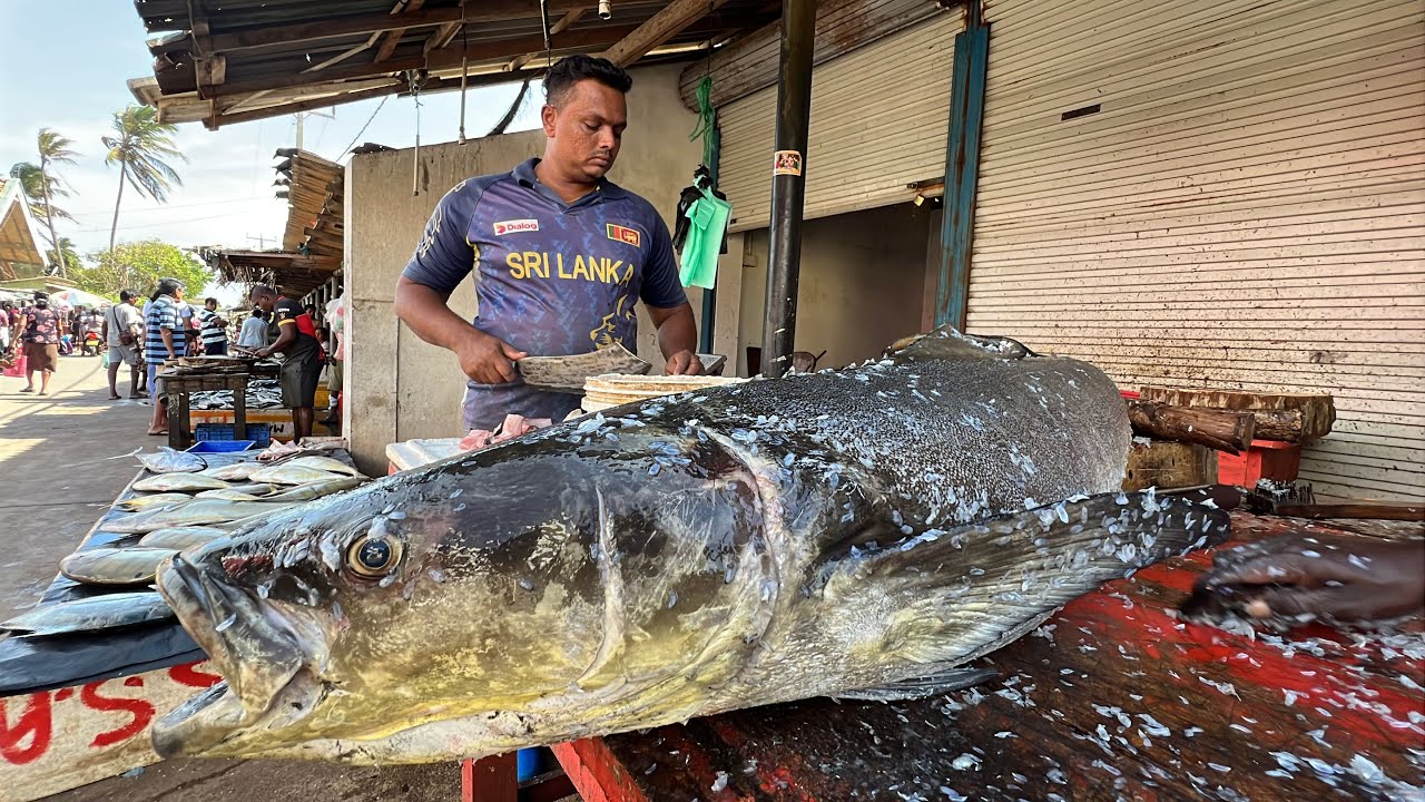 A Productive Day! Rural Fish Market Busy Day in a Sri Lankan Street