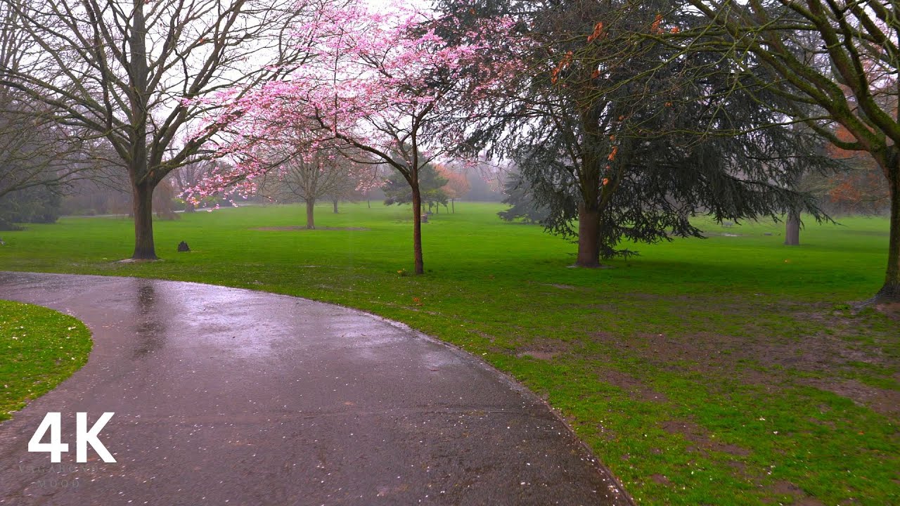 Heavy Rain Walk 4K HDR | Walking in Rainstorm | Reduce Stress with Binaural Rain Sounds ASMR