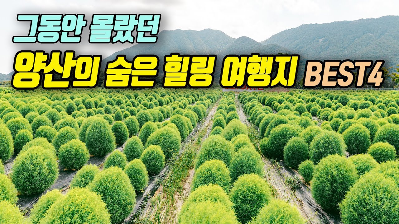 요즘 뜨고 있는 경남 유일의 인구 증가 도시, 양산 여행지 가볼만한곳 4곳을 소개해 드립니다.