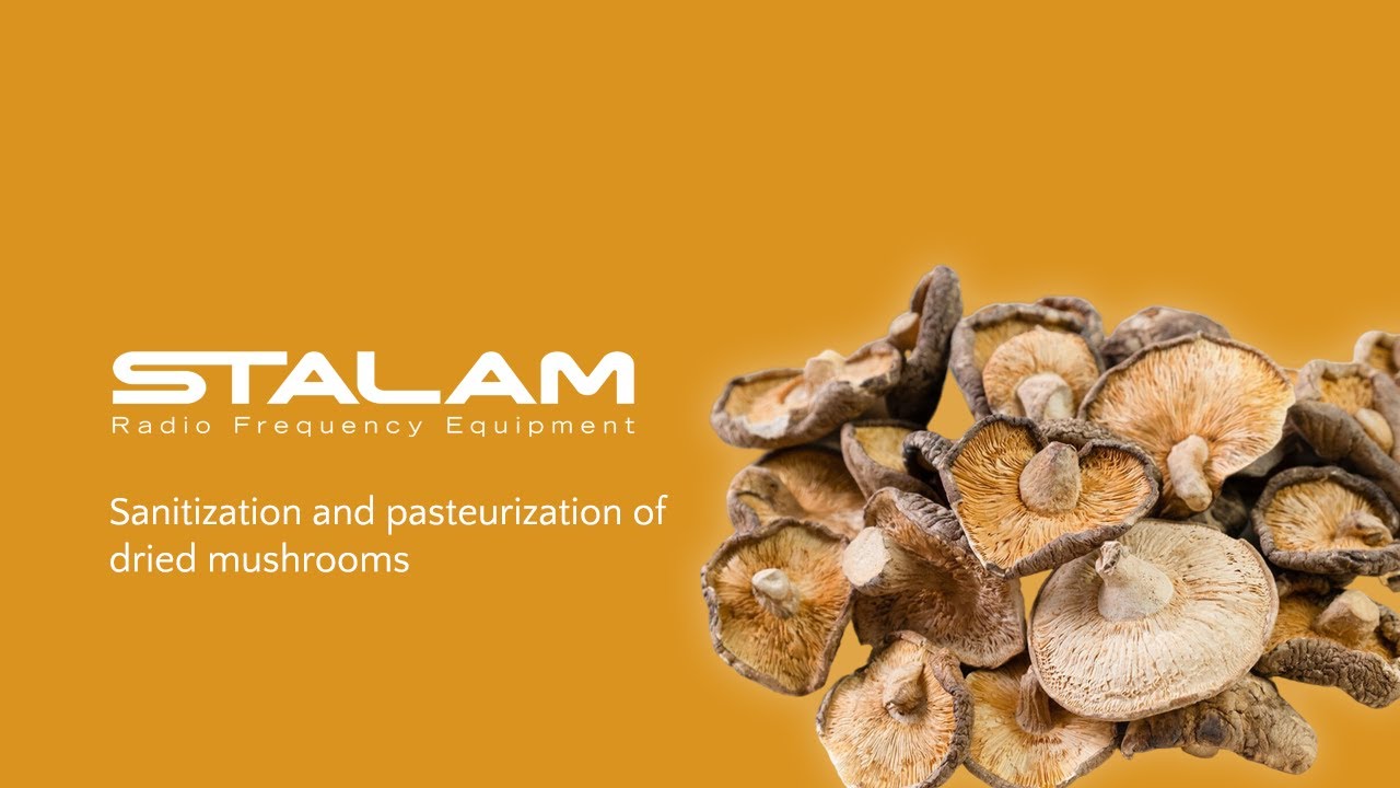 Sanitization and pasteurization of dried mushrooms (Italy)