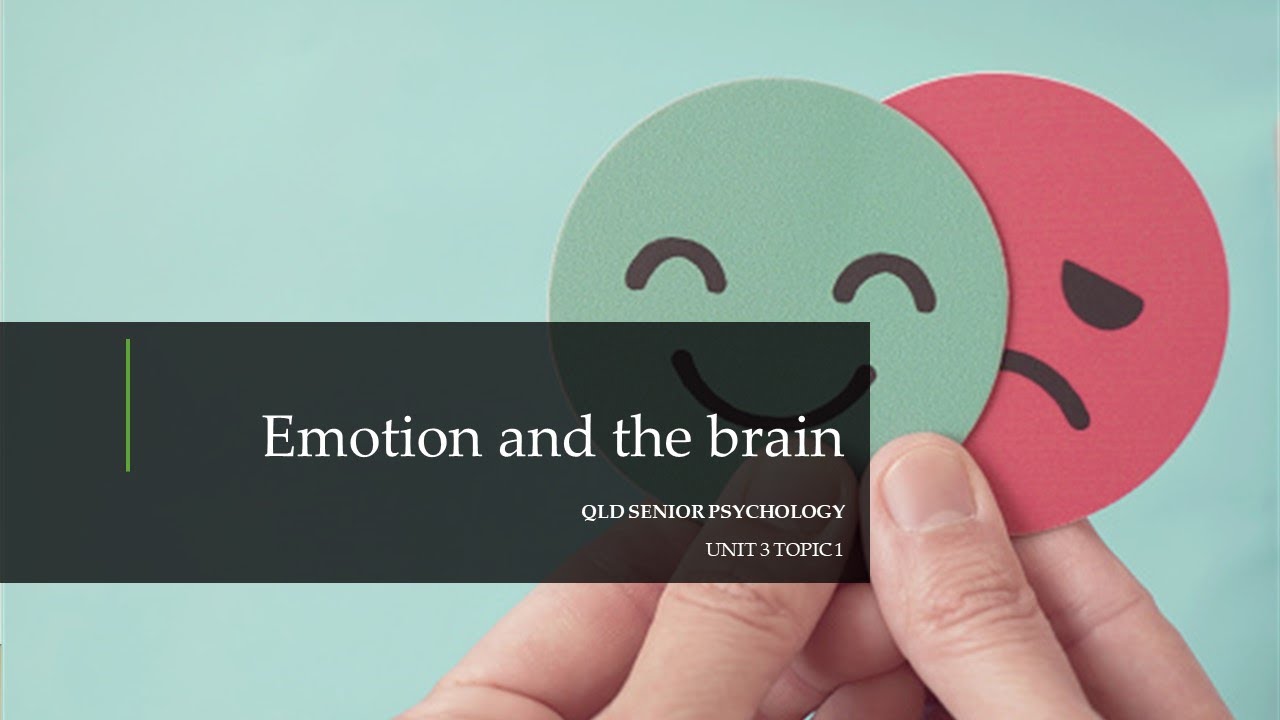 Emotion and the Brain