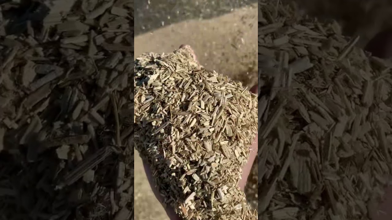 INDUSTRIAL HEMP PROCESSING. HEMPCRETE SUPPLY #hempcrete