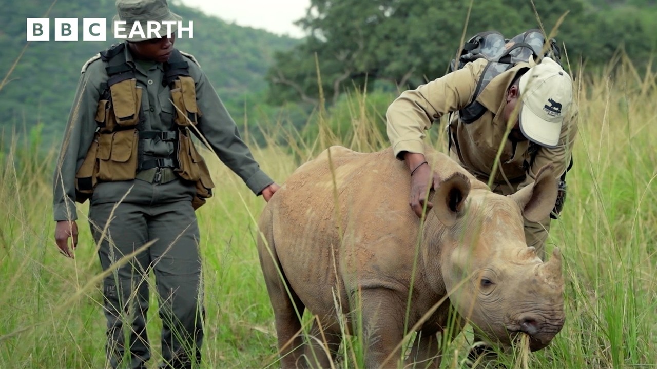 Meet The Guardians Of Nature | Guardians: Official Trailer | BBC Earth | BBC Studios