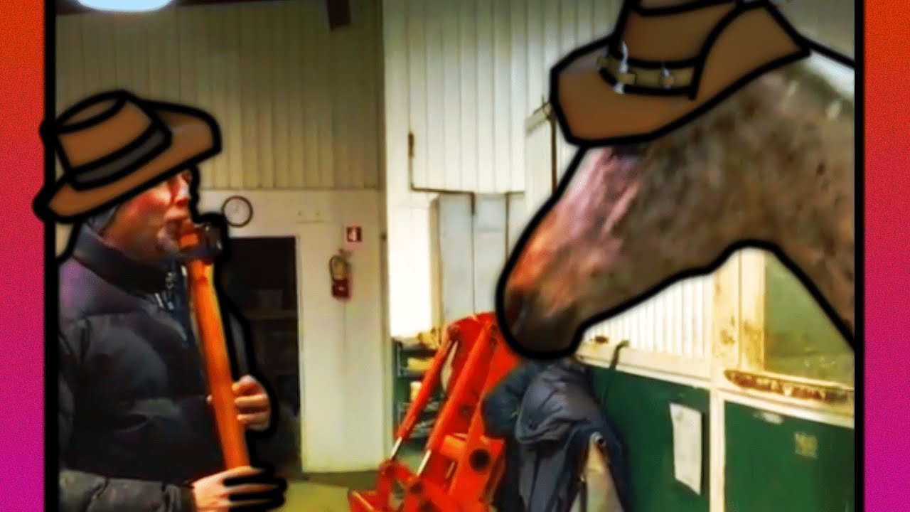 Horse Vibing To TF2 Sniper didgeridoo