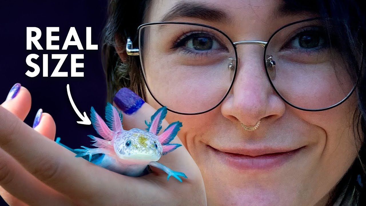 The Smallest Creatures To Ever Exist on Earth