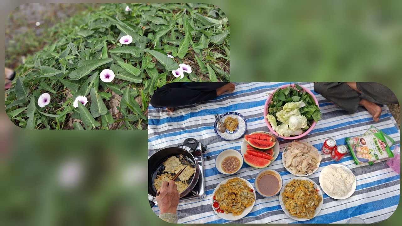 Kéo lưới bắt cá chiên bột ăn cùng gia đình nha cả nhà 
