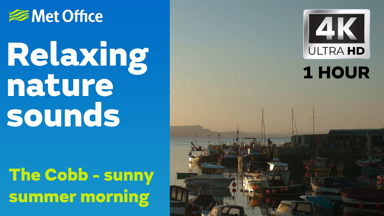 Sounds of weather – summer morning sunrise - nature, sleep, relaxing - ASMR 4K - Met Office