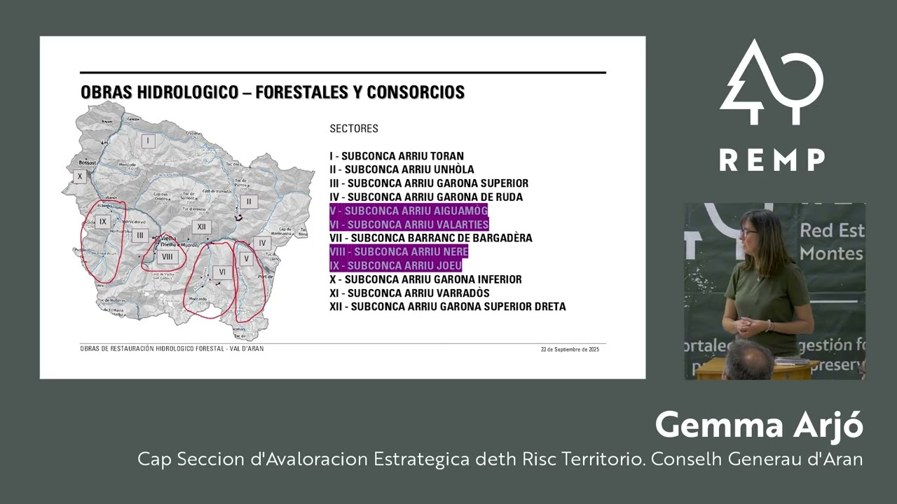 JT Restauración Hidrológico-Forestal en Valencia. Evaluación de obras de hidrología en Vall d’Aran.