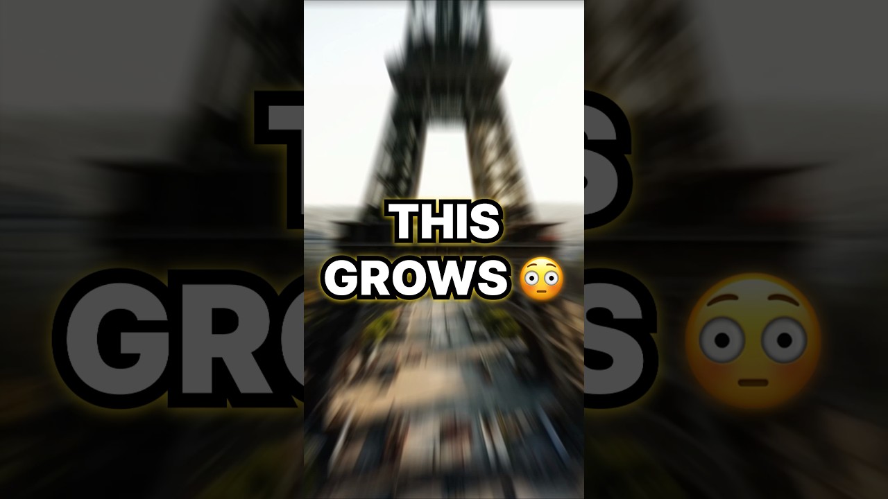 The Eiffel Tower Grows in Summer 😳 (Science Fact)  