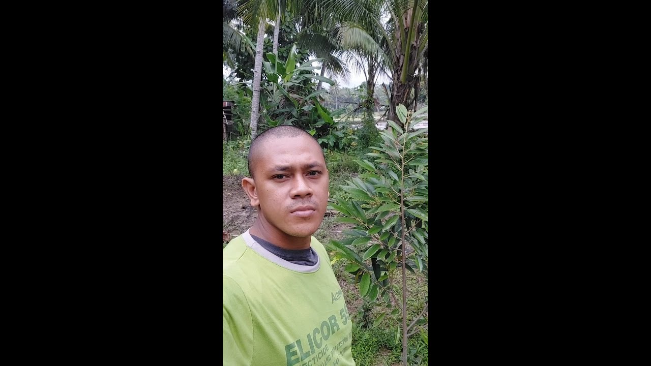 Update sa mga durian dito sa isang mini farm natin. #fypシ #highlights #durian #farming