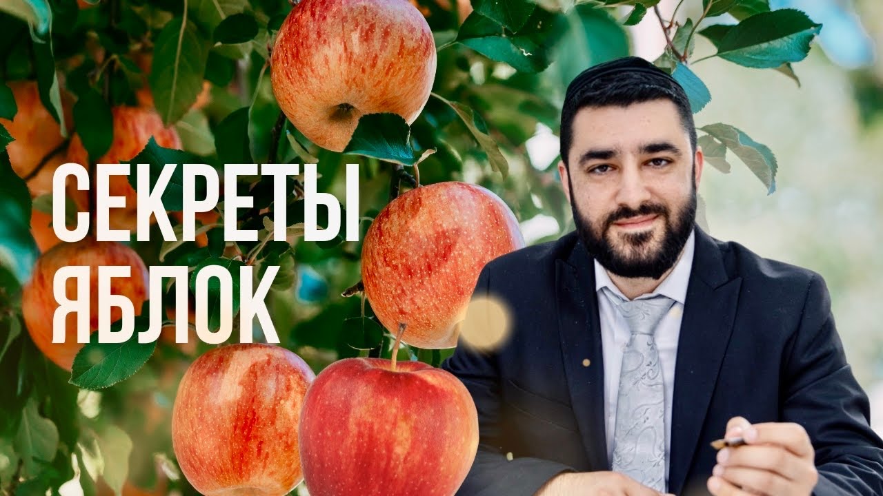 🍎 Секреты яблок (Рав Исраэль Якобов) урок в 