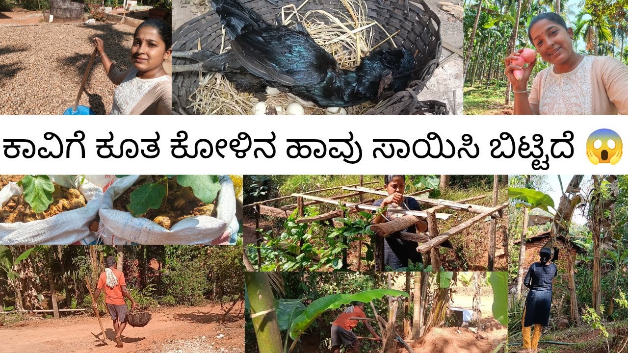 ಕಷ್ಟದ ಕೆಲಸ ಸುಲಭದಲ್ಲಿ ಮಾಡುವ ನನ್ನ ಟೆಕ್ನಿಕ್ ಗೊತ್ತಾ 😅