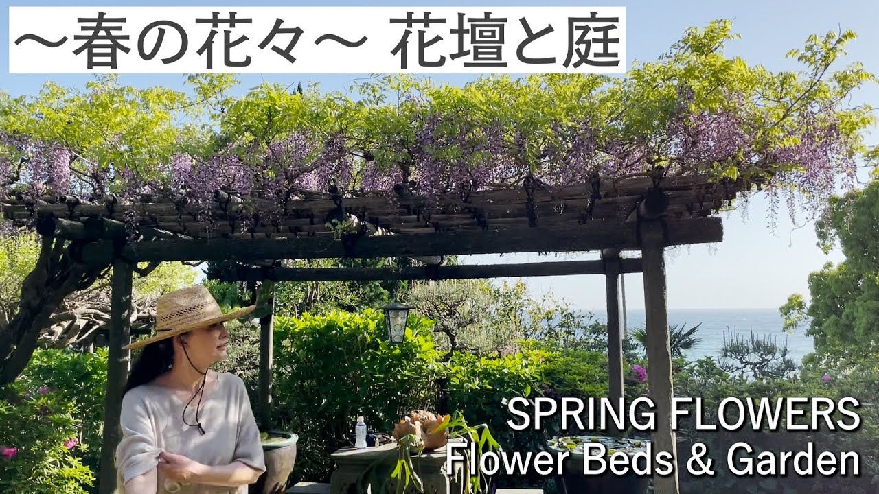 #49 ～春の花々～ 花壇と庭  “SPRING FLOWERS” Flower Beds & Garden