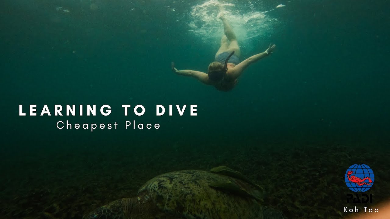 CHEAPEST Scuba Diving Course in the WORLD