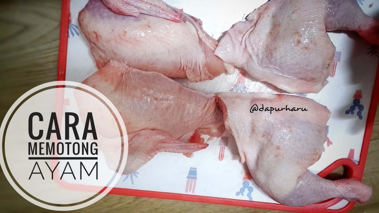 Cara memotong ayam jadi 4, 8, 12 dan 14 bagian| Resep Masakan Indonesia | Masak Eps. 11