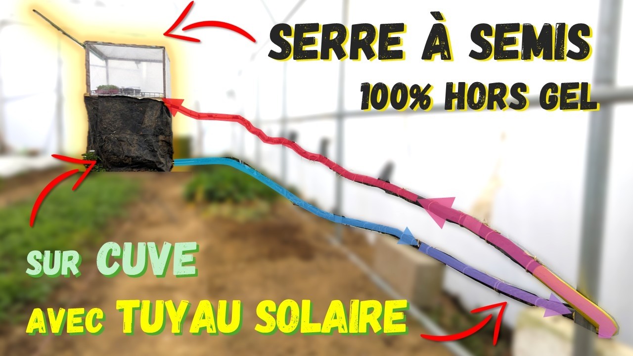 Une serre à semis autonome sans électricité : ma solution pour ne plus rater mes plants