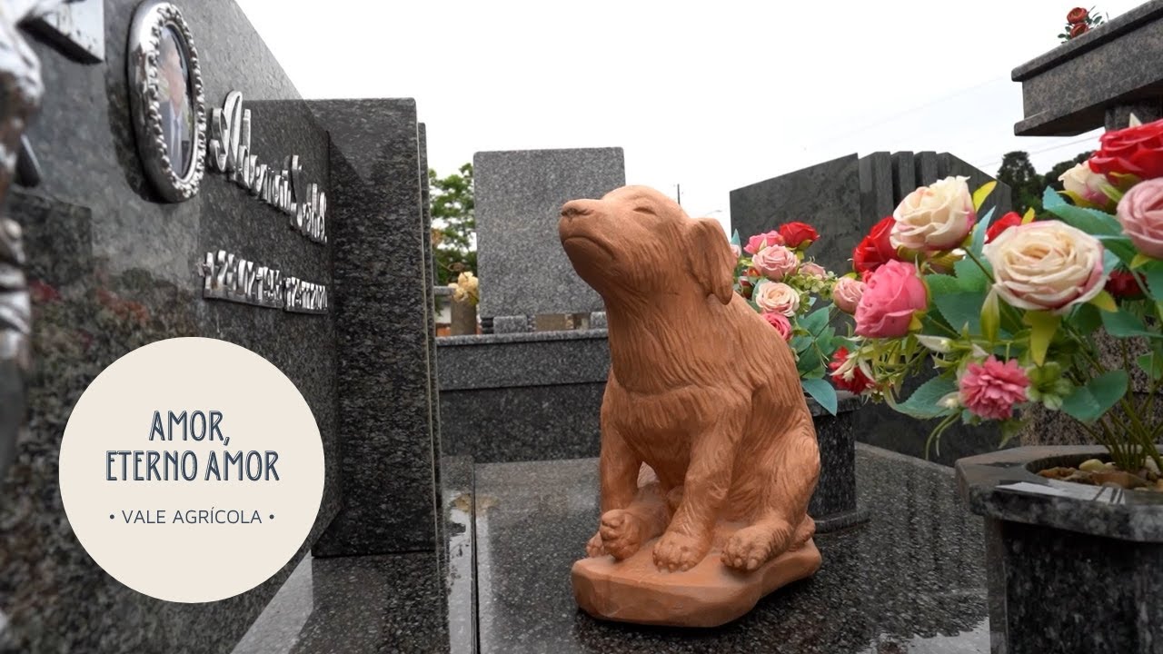 Cachorrinho que visitava dono no cemitério ganha estátua no Rio Grande do Sul!
