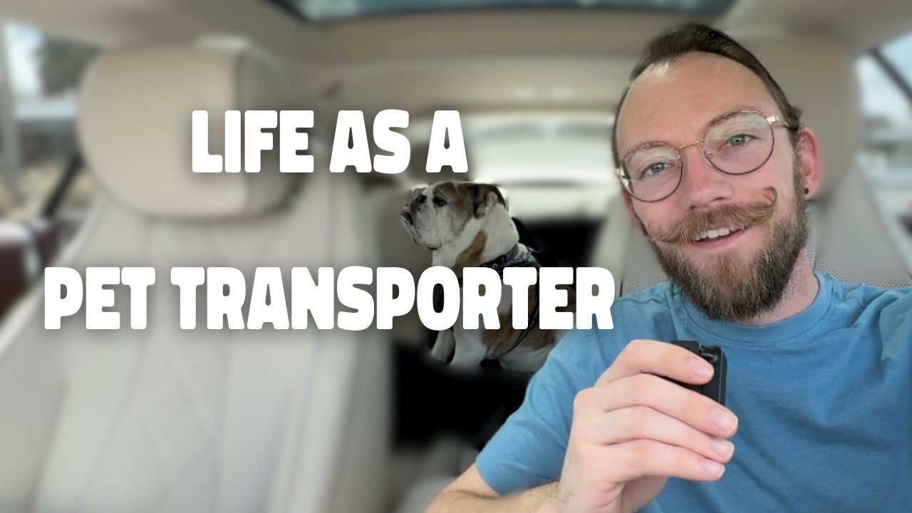 Transporting Dogs in a Mercedes?! - Life as a Pet Transporter