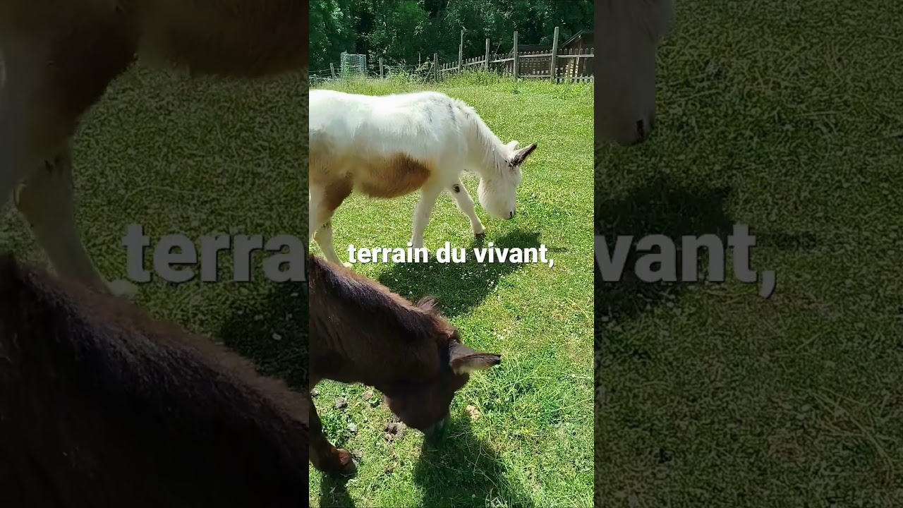 Et si nous consid&eacute;rions l&rsquo;incertitude comme une source de libert&eacute; ?