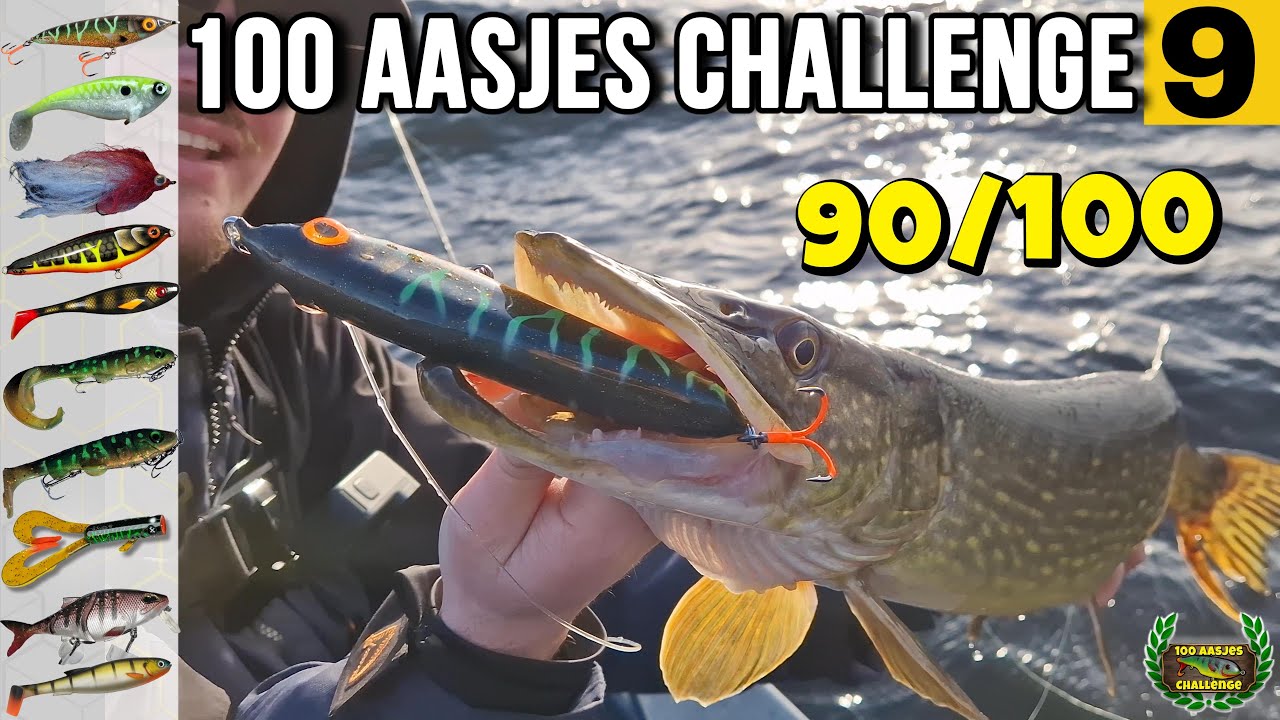 IK BLEEF MAAR SNOEK VANGEN MET DIT TYPE KUNSTAAS! 100 aasjes challenge - Deel 9