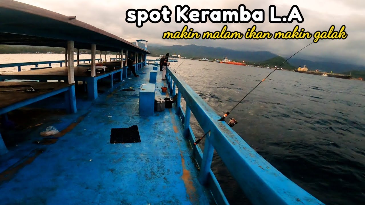 SEMAKIN MALAM IKAN SEMAKIN GALAK-💥. keramba labuhan amuk