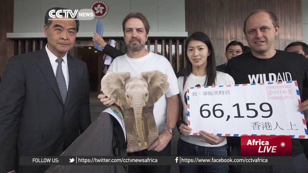 Hong Kong: A hub for the international ivory trade