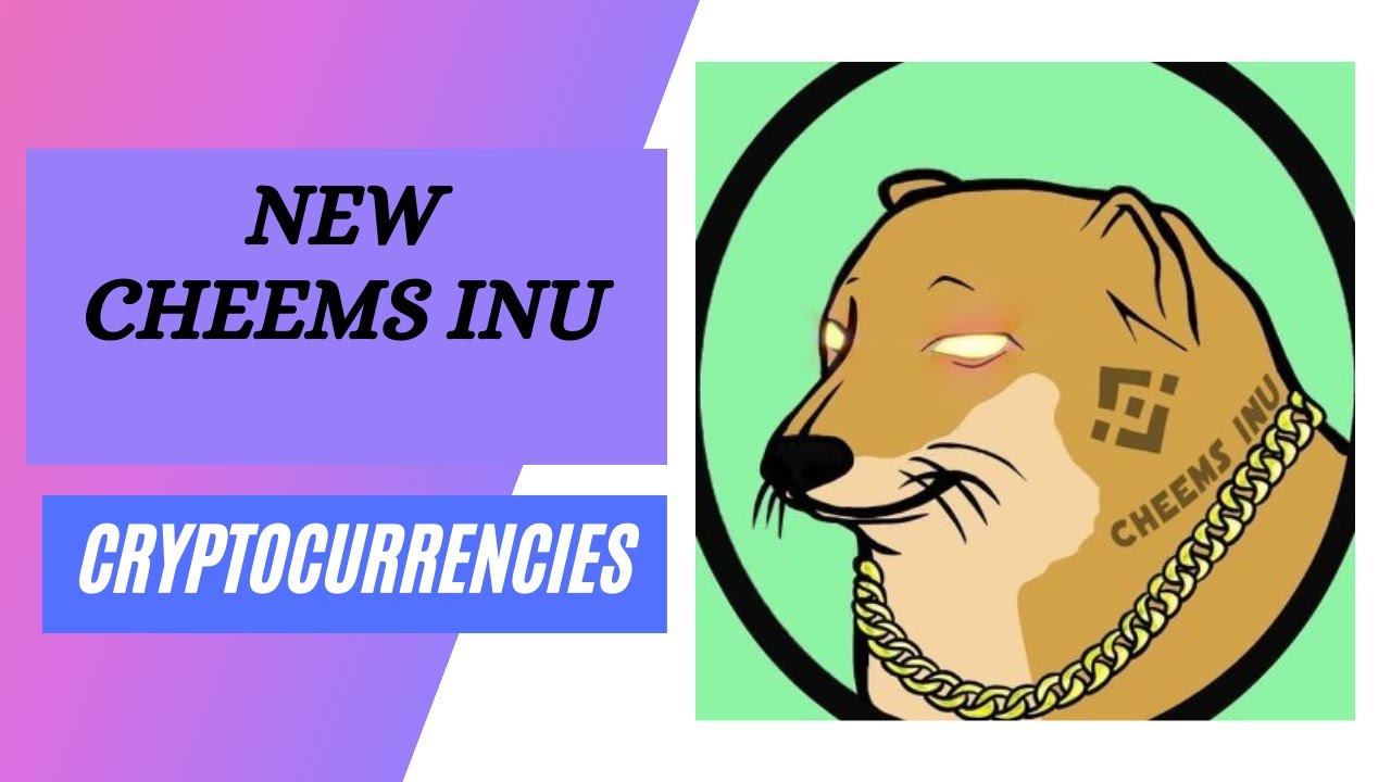 What is Cheems Inu? SCAM or NO or FAKE ? check details in this video