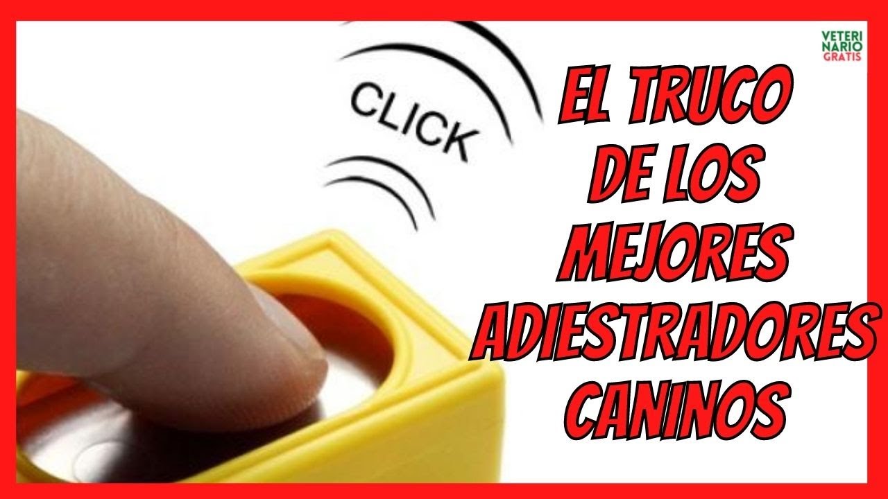 💗 ¿QUÉ ES Y COMO CARGAR EL CLICKER EN EL ADIESTRAMIENTO CANINO? 💗