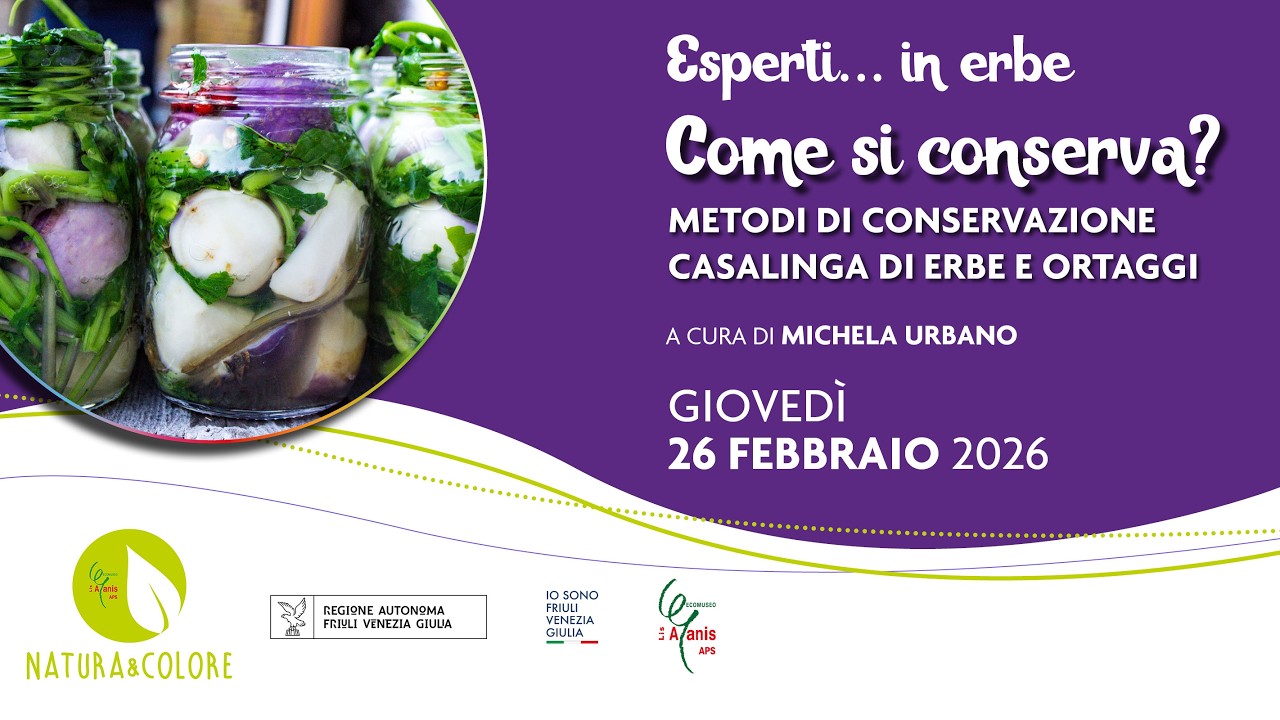 Come si conserva? Metodi di conservazione casalinga di erbe e ortaggi // Esperti in erbe 2026