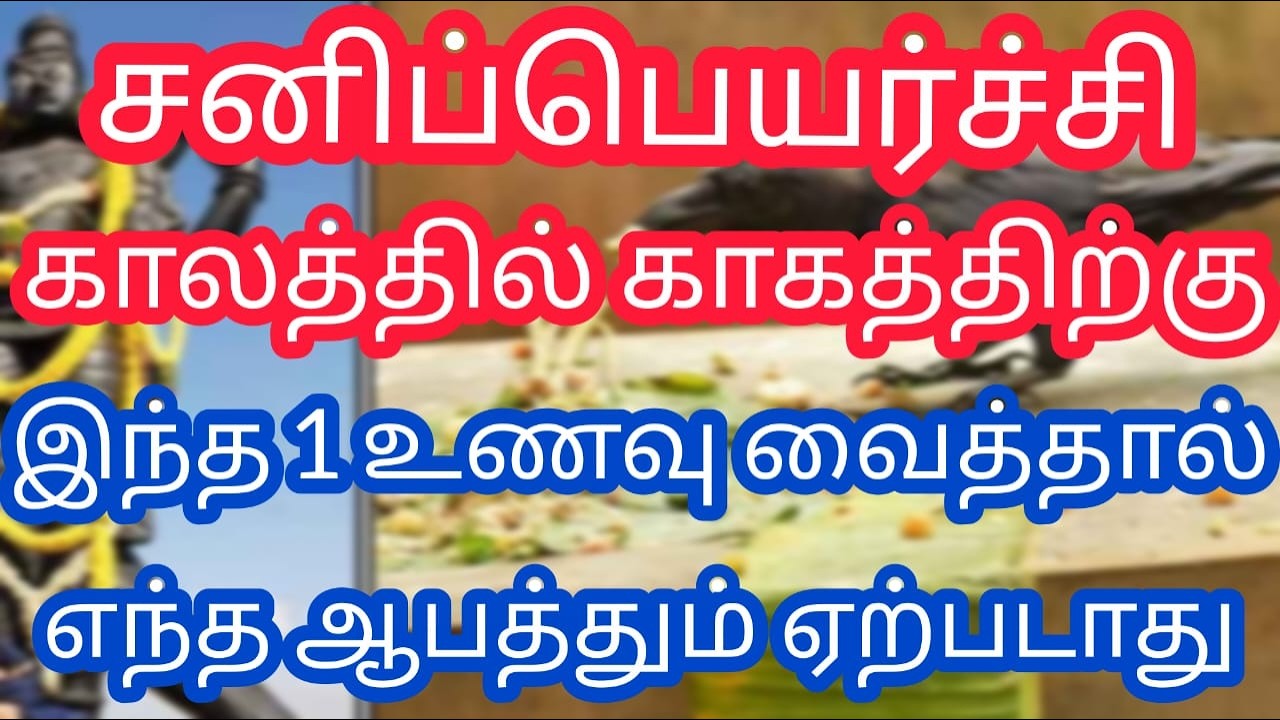 சனிப்பெயர்ச்சி காலத்தில் காகத்திற்கு இந்த ஒரு உணவு வைத்தால் நிச்சயம் செல்வம் சேரும்..